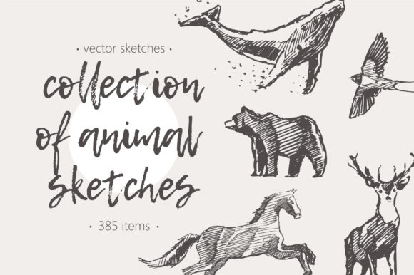 Download Huge Collection of Animal Sketches - Sketches Collection