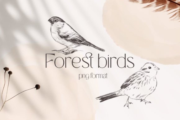 Download Forest Birds Sketches Collection - Sketches Collection