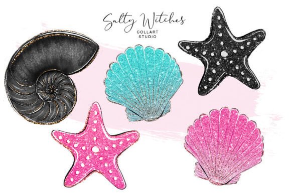 Download Hand Drawn Shells, Sea Star, Glitter - Sea star Collection
